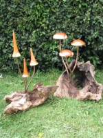 w. Wooden Headed Mushrooms.jpg